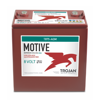 Motive T875-AGM Batteries 